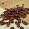 Haricot rouge foncé 200-220pcs / 100g